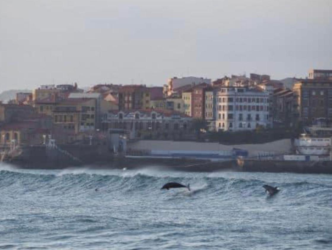 Alojamientos Muelle De Gijón Kültér fotó
